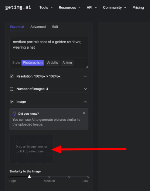 13-dfc3bfd4-607e-4d46-9c33-538fd8ed1ab7 Optionally uploading an image for Getimg to generate similar pictures of.