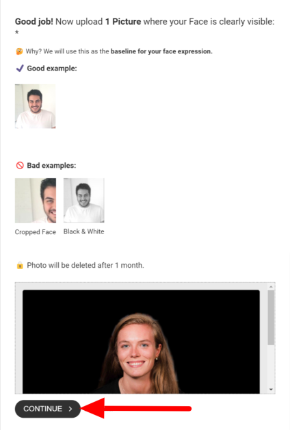 Uploading a single selfie for a baseline facial expression and hitting "Continue" on Profile Bakery.