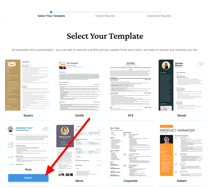 Selecting a template using VisualCV.