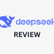 DeepSeek review.